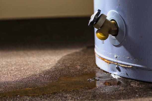 Best Flood damage cleanup  in Westfield Center, OH
