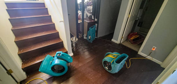 Best Mold removal after water damage  in Westfield Center, OH