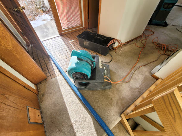 Best Professional water damage repair  in Westfield Center, OH