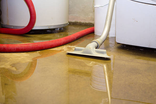 Sewage cleanup and water damage restoration in Westfield Center, OH