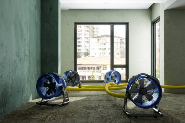 Reliable Westfield Center, OH Water damage restoration Solutions